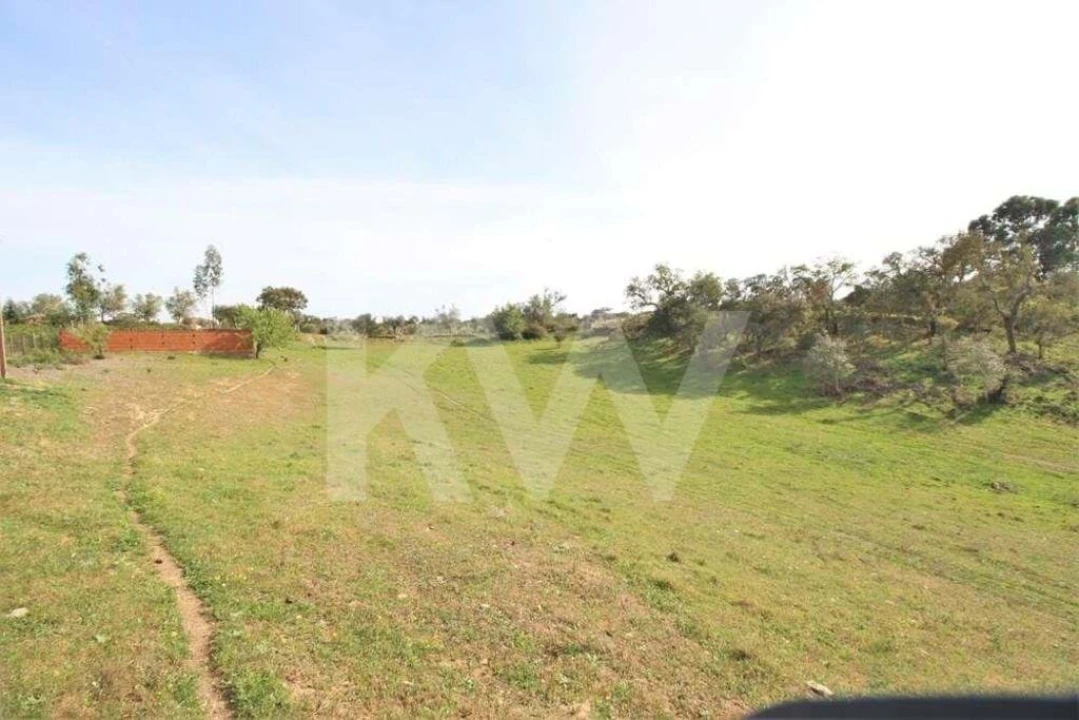 Terreno para Venda em Ourique Foto 13