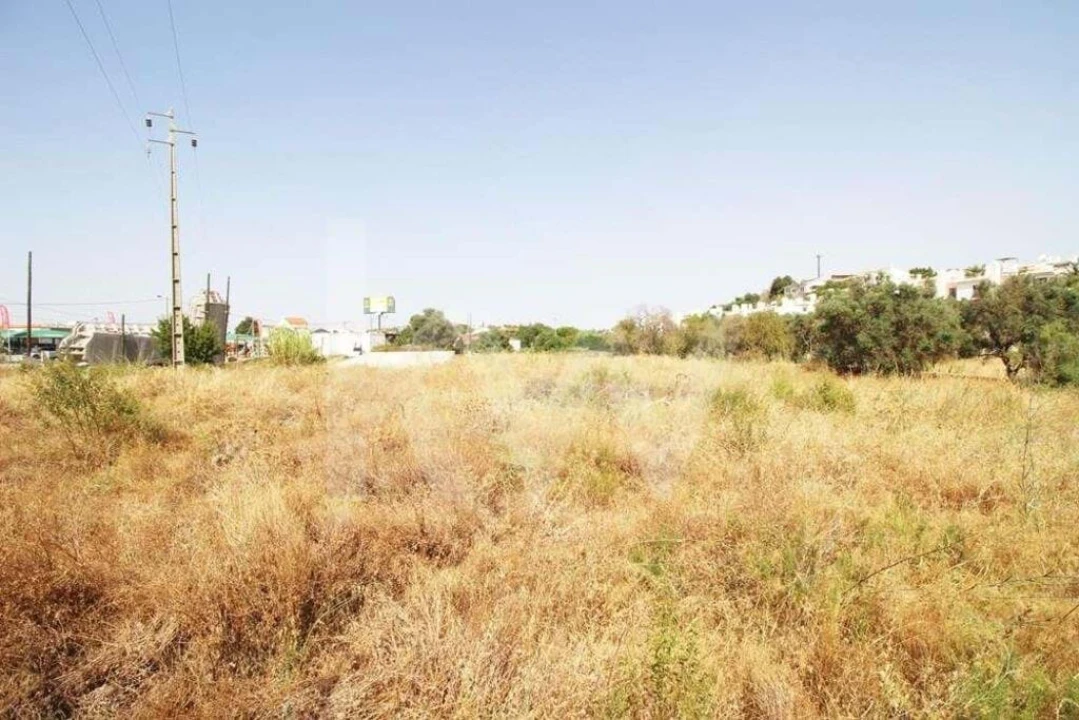 Terreno para Venda em Guia Foto 18