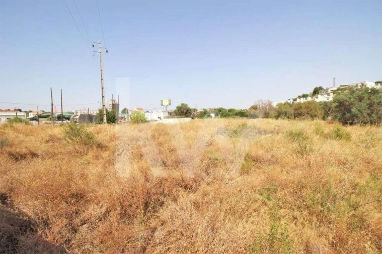 Terreno para Venda em Guia Foto 19