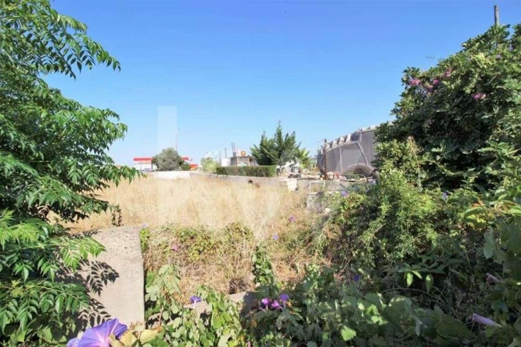 Terreno para Venda em Guia Foto 12