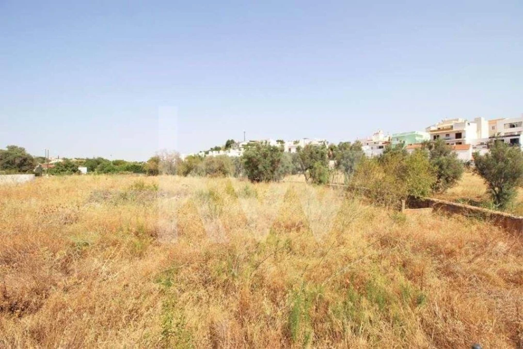 Terreno para Venda em Guia Foto 20