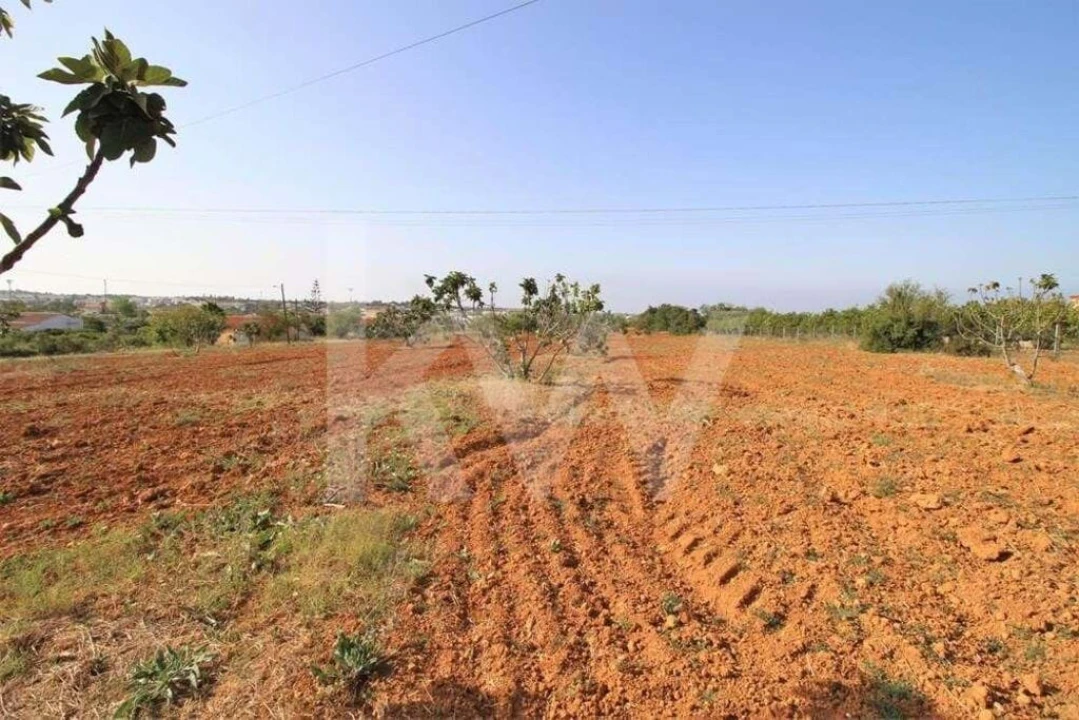Terreno para Venda em Guia Foto 14