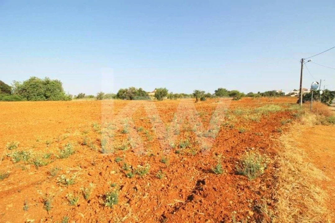 Terreno para Venda em Guia Foto 5