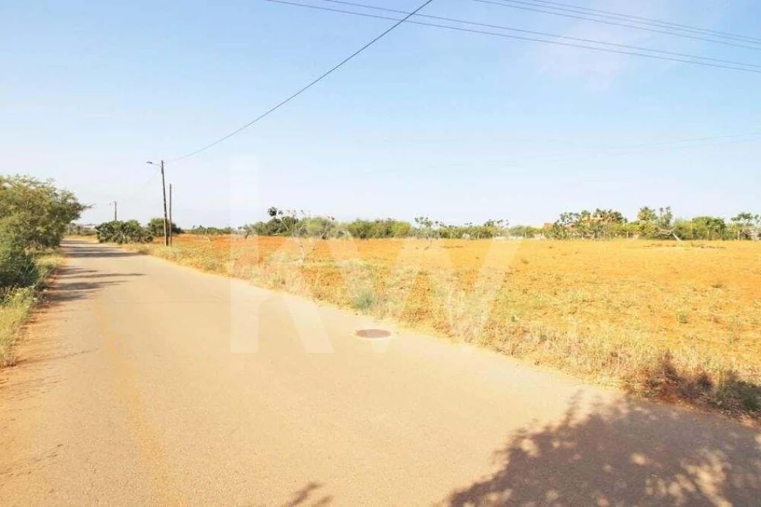 Terreno para Venda em Guia Foto 20