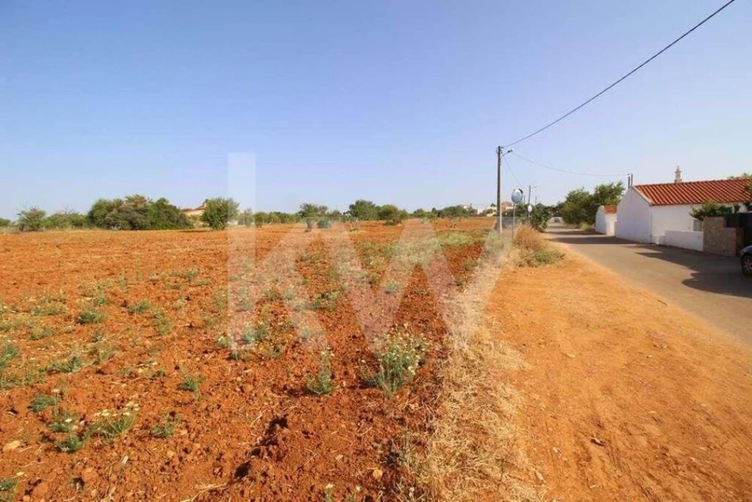Terreno para Venda em Guia Foto 7
