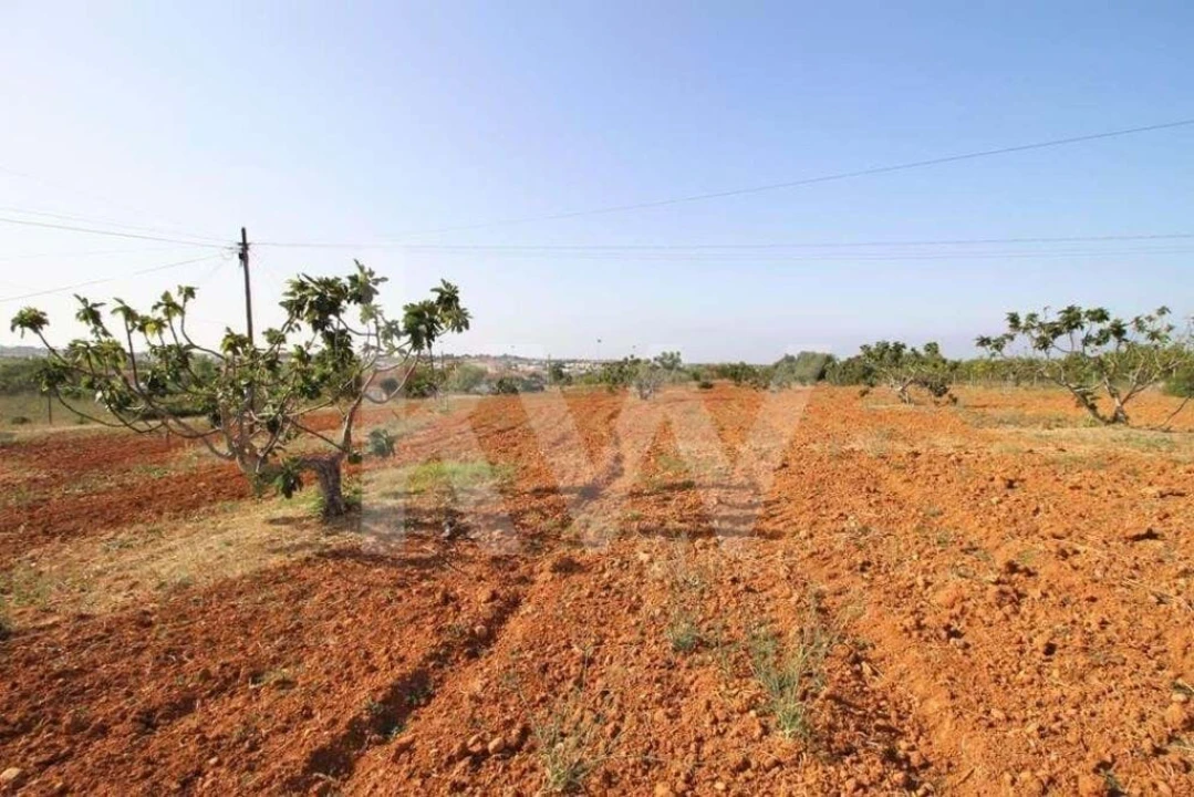 Terreno para Venda em Guia Foto 12