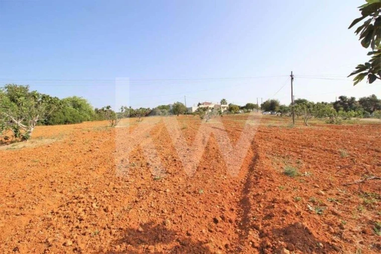 Terreno para Venda em Guia Foto 19