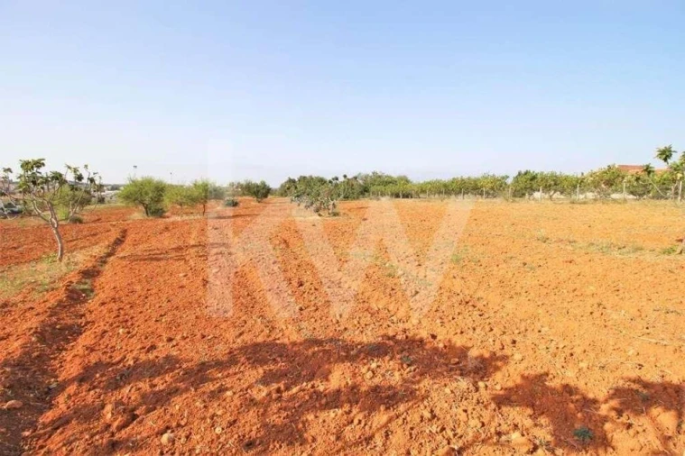 Terreno para Venda em Guia Foto 18