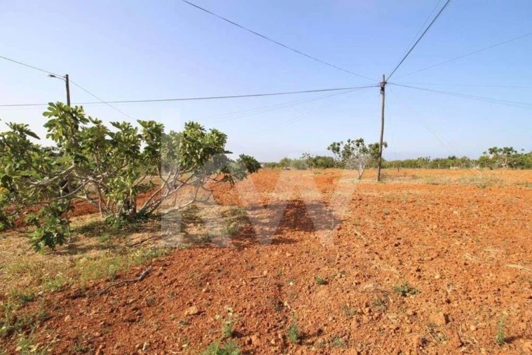 Terreno para Venda em Guia Foto 11
