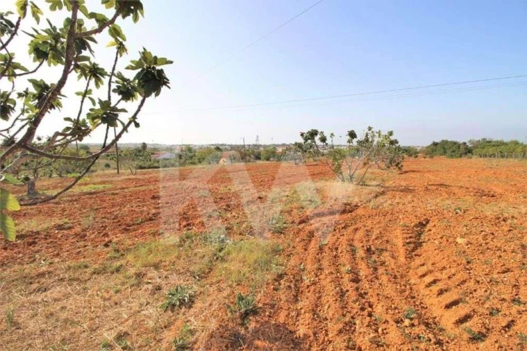 Terreno para Venda em Guia Foto 15