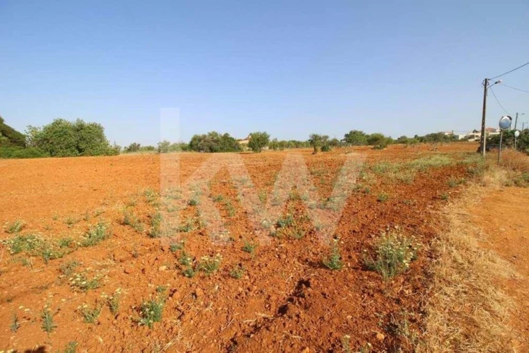 Terreno para Venda em Guia Foto 9