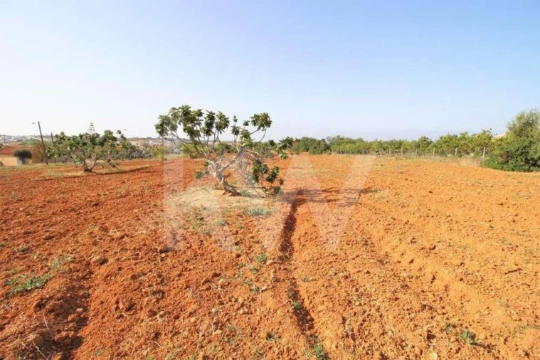 Terreno para Venda em Guia Foto 16
