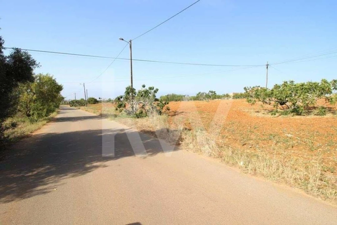 Terreno para Venda em Guia Foto 8