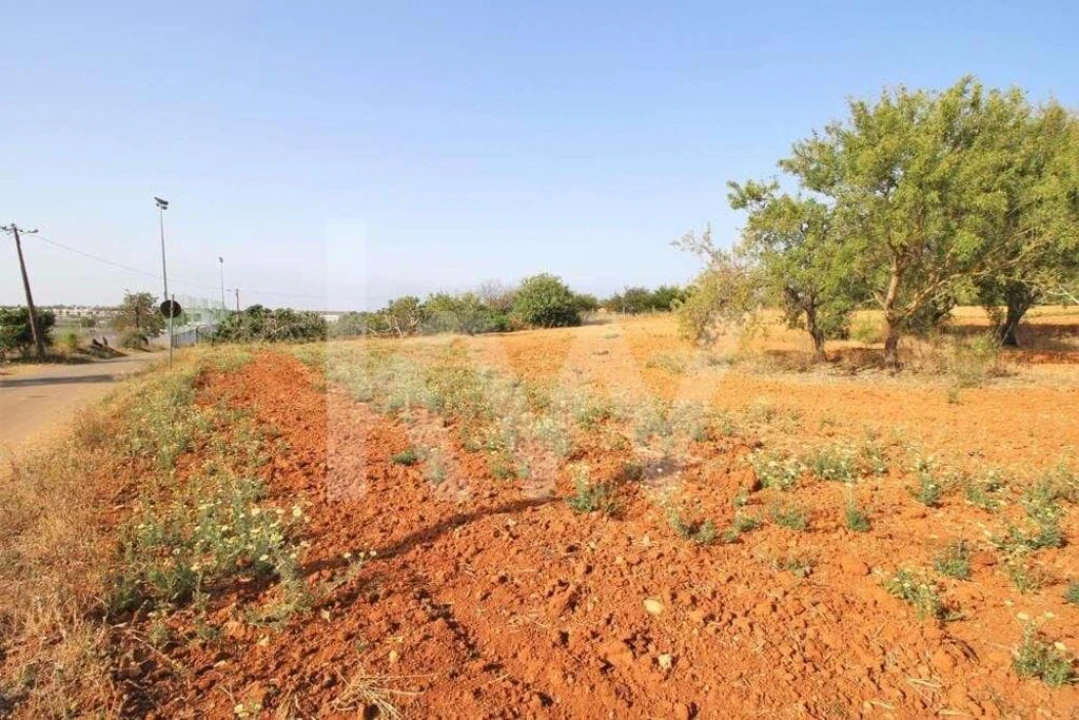 Terreno para Venda em Guia Foto 6