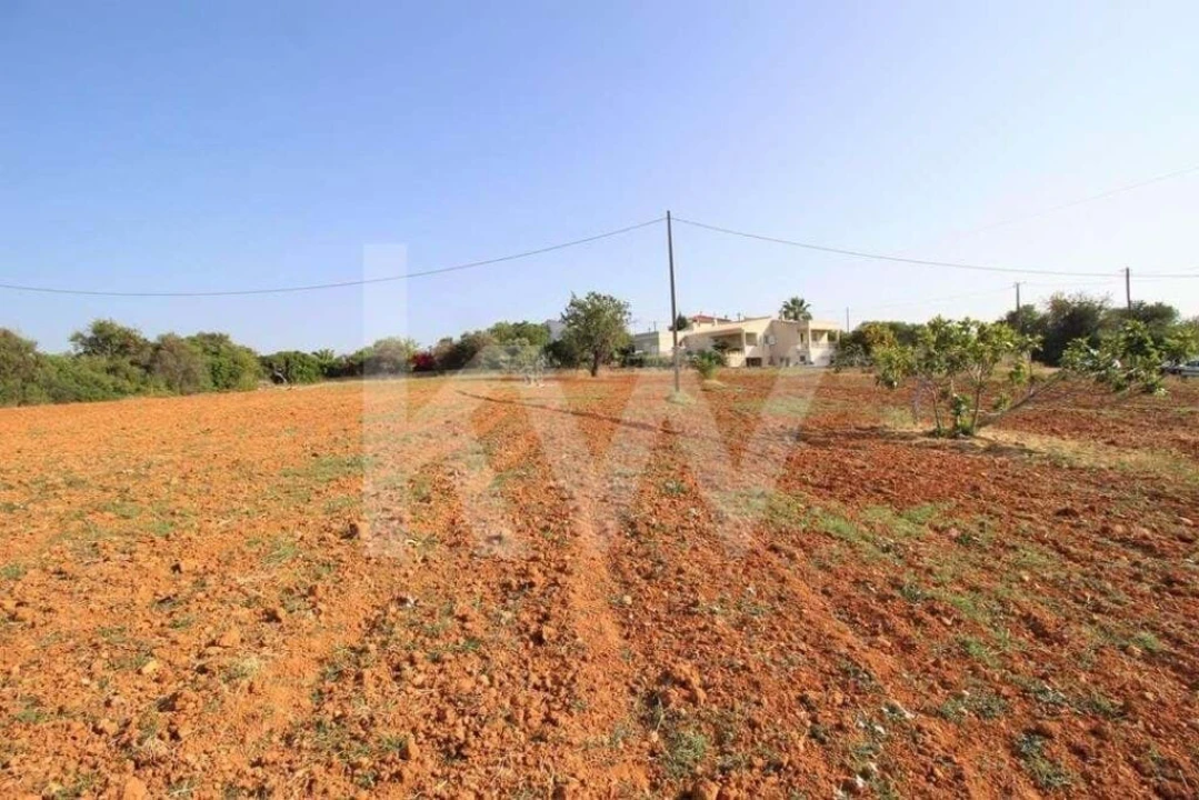 Terreno para Venda em Guia Foto 13