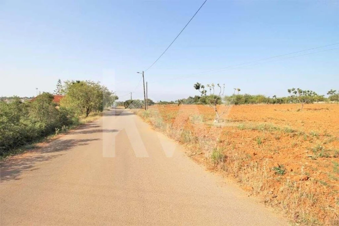 Terreno para Venda em Guia Foto 17