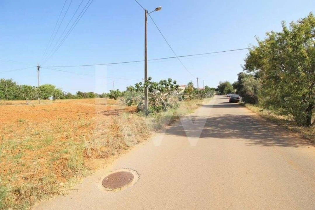 Terreno para Venda em Guia Foto 2