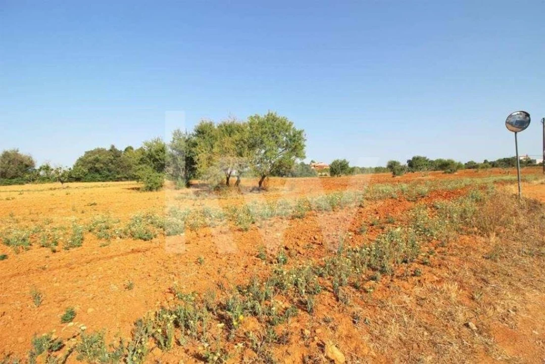 Terreno para Venda em Guia Foto 4