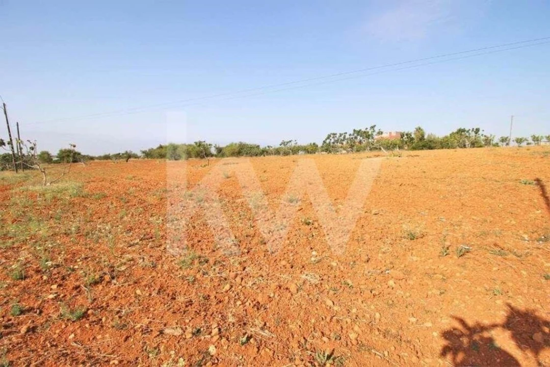 Terreno para Venda em Guia Foto 21