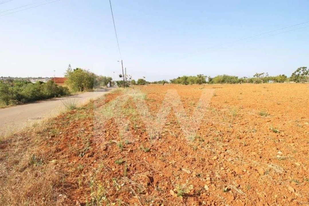 Terreno para Venda em Guia Foto 22