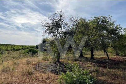 Terreno para Venda em Paderne
