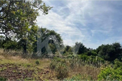 Terreno para Venda em Paderne