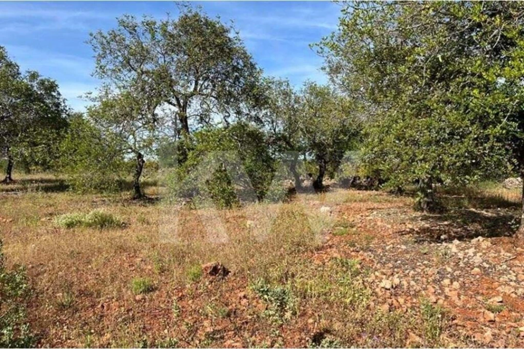Terreno para Venda em Paderne Foto 5