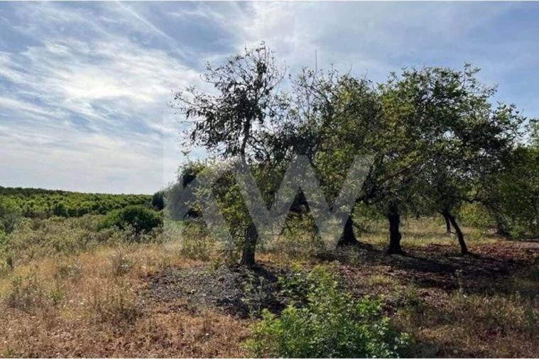 Terreno para Venda em Paderne Foto 4