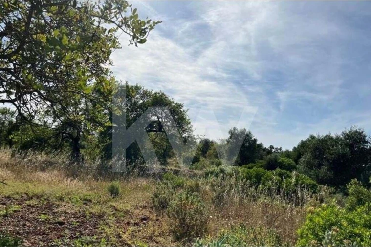 Terreno para Venda em Paderne Foto 3