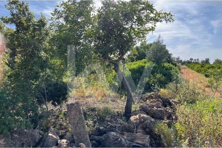 Terreno para Venda em Paderne Foto 7