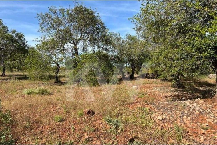 Terreno para Venda em Paderne Foto 5