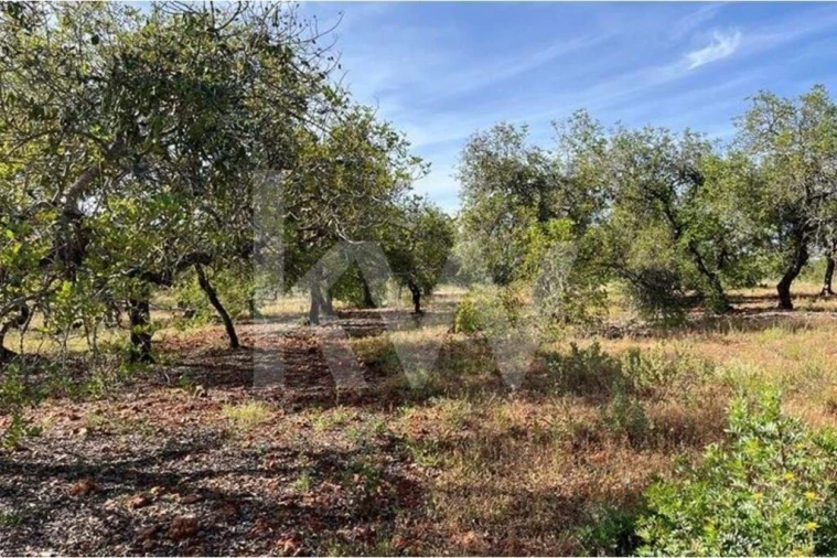 Terreno para Venda em Paderne Foto 2