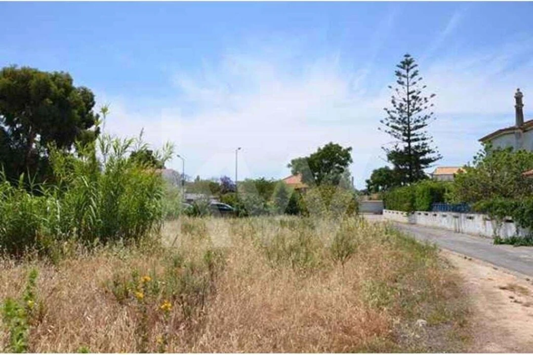 Terreno para Venda em Ferreiras Foto 2