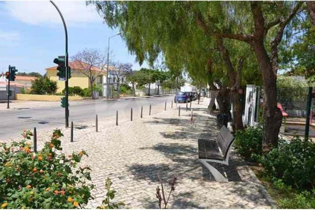 Terreno para Venda em Ferreiras Foto 9