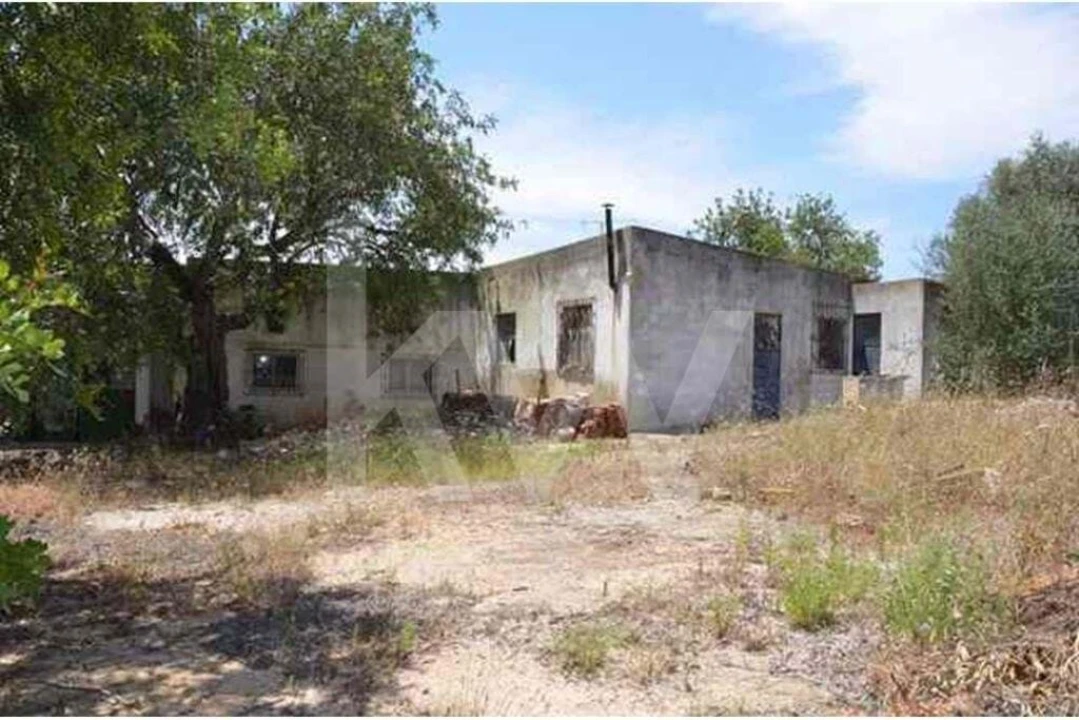 Terreno para Venda em Ferreiras Foto 5