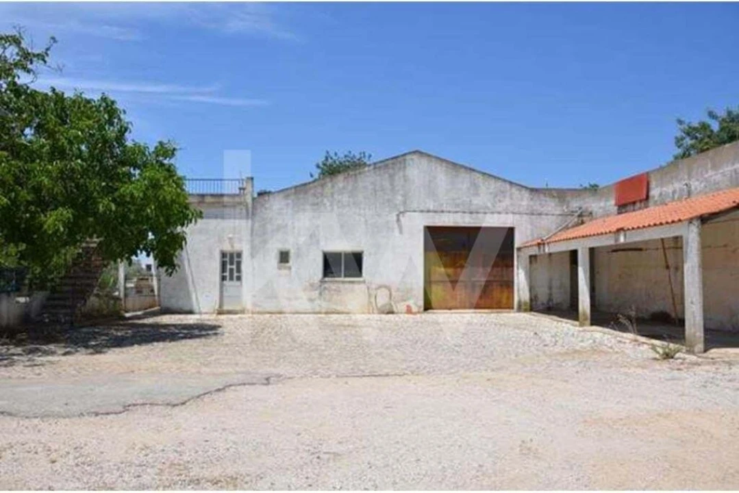 Terreno para Venda em Ferreiras Foto 6