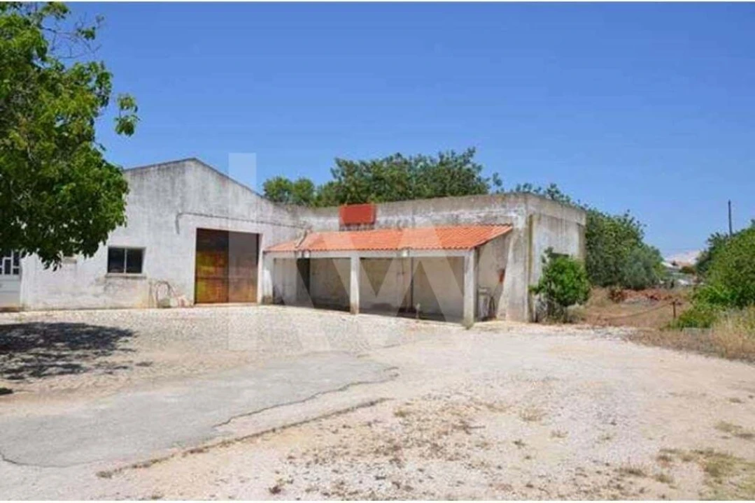 Terreno para Venda em Ferreiras Foto 8