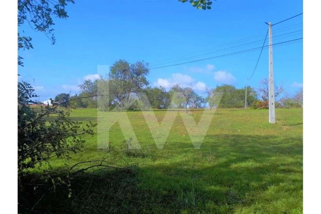 Terreno para Venda em Albufeira e Olhos de Água Foto 5