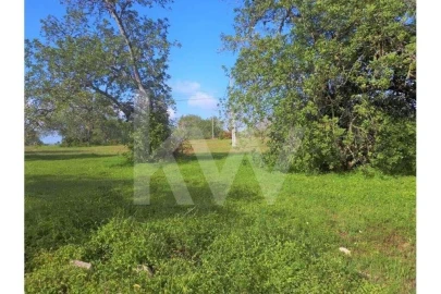 Terreno para Venda em Albufeira e Olhos de Água