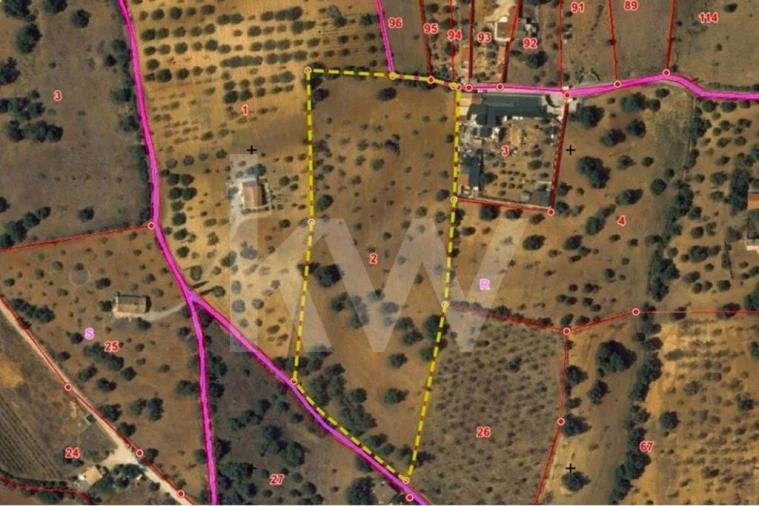 Terreno para Venda em Albufeira e Olhos de Água Foto 9
