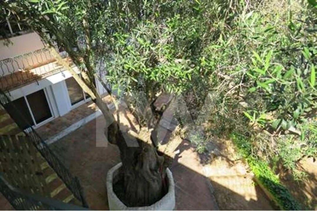 Moradia T3 para Venda em Albufeira e Olhos de Água Foto 7