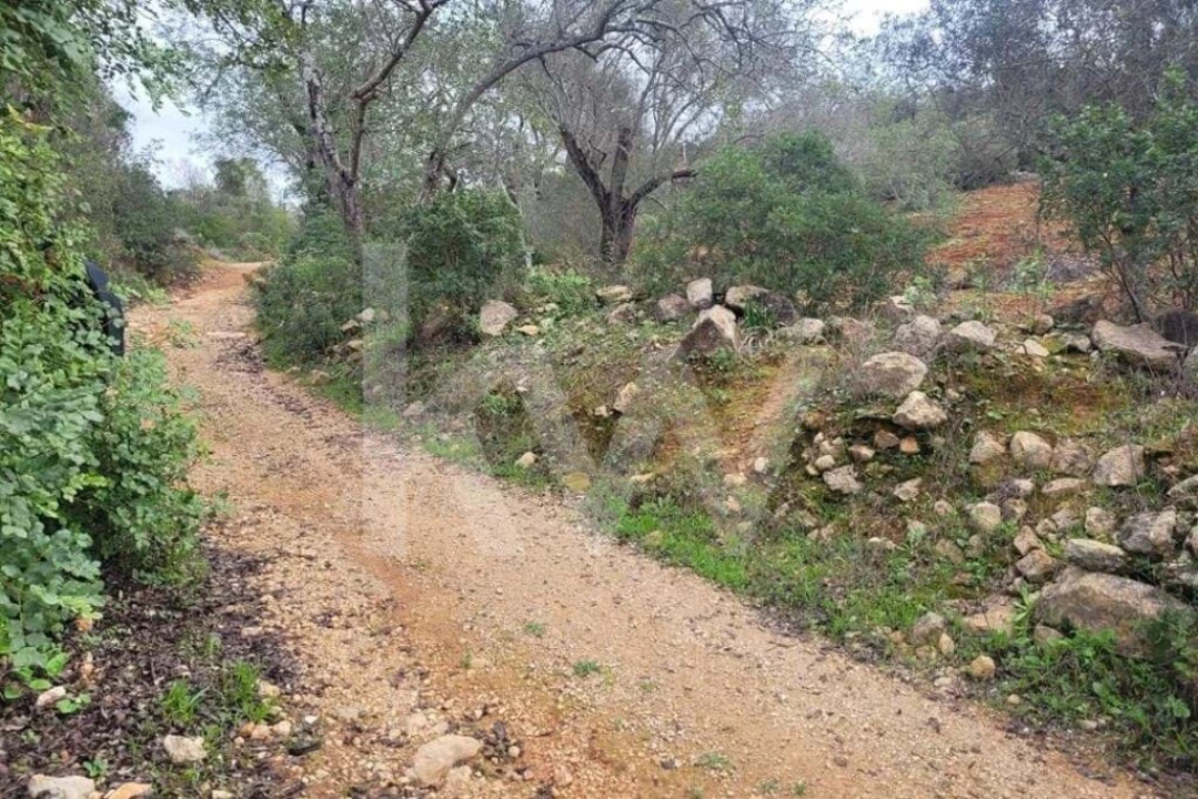 Terreno para Venda em Paderne Foto 7