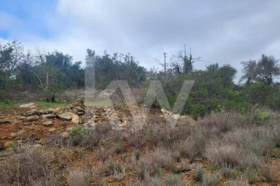 Terreno para Venda em Paderne