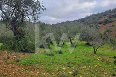 Terreno para Venda em Paderne