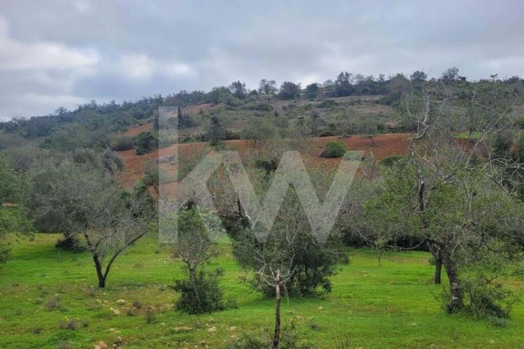 Terreno para Venda em Paderne Foto 2