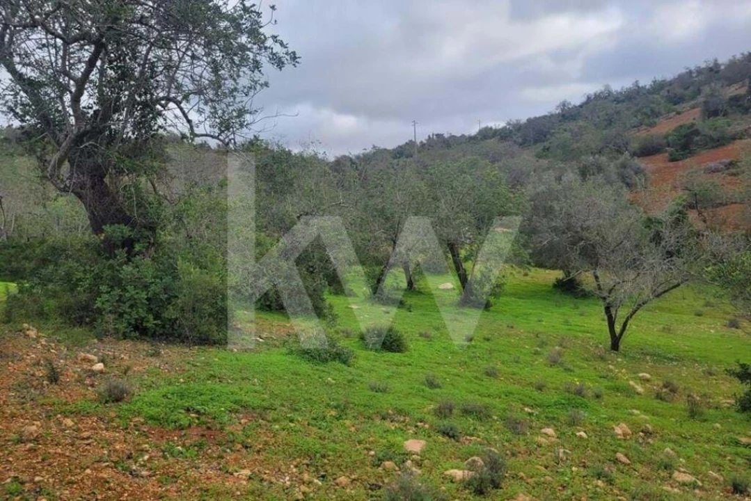 Terreno para Venda em Paderne Foto 8