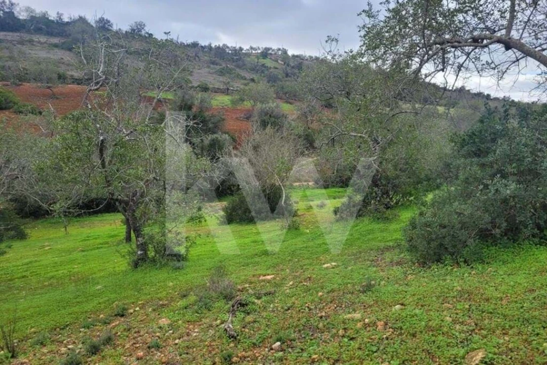 Terreno para Venda em Paderne Foto 6