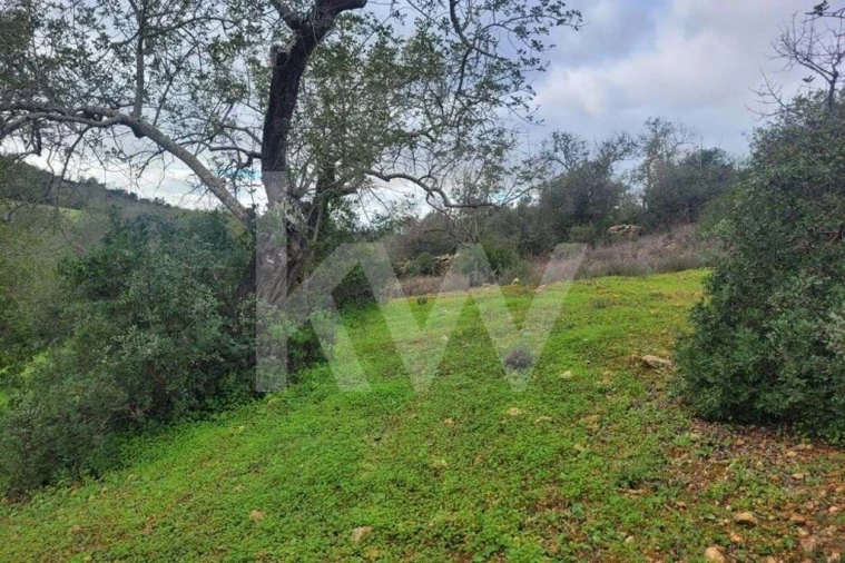 Terreno para Venda em Paderne Foto 3