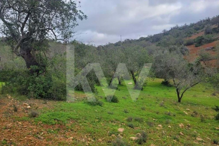 Terreno para Venda em Paderne Foto 8