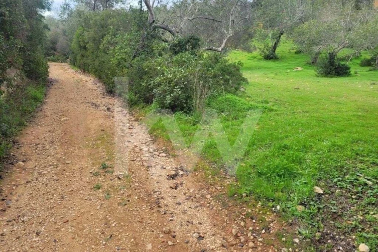 Terreno para Venda em Paderne Foto 5